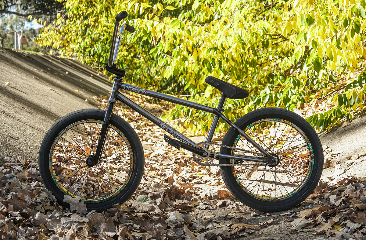 Colony Sweet Tooth BMX frame