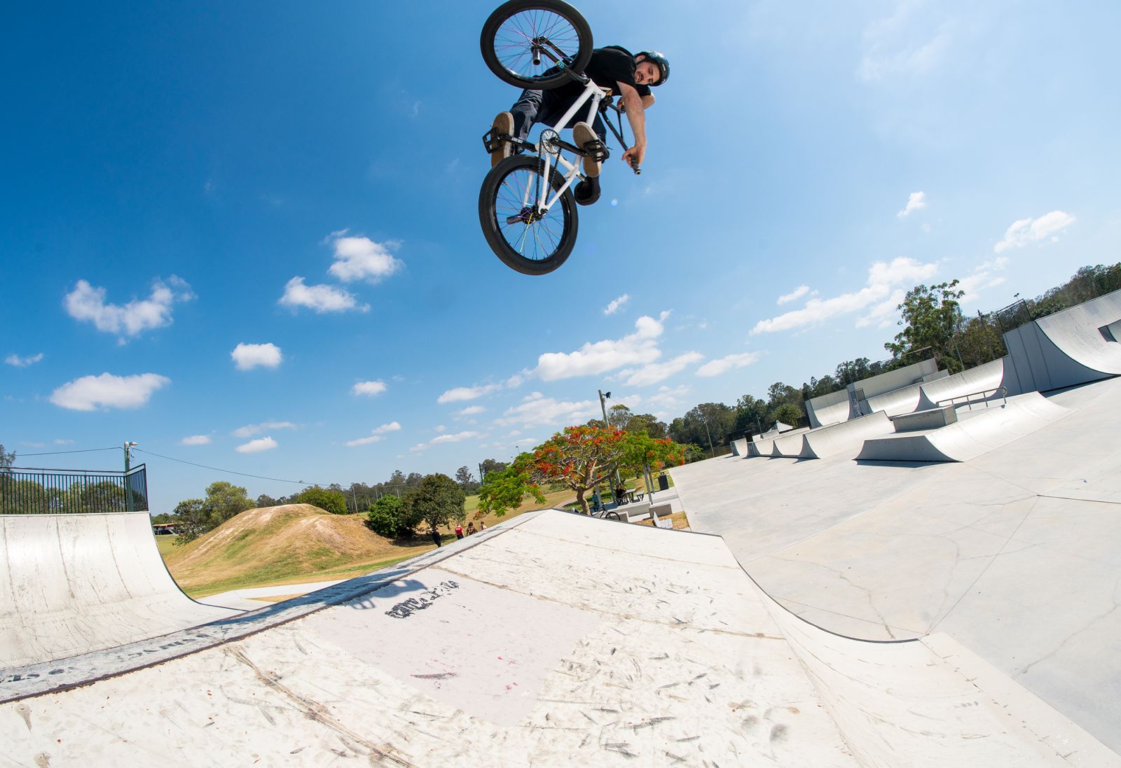 pat fallico bmx