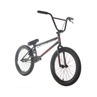 Academy BMX Desire 20" Complete Bike 